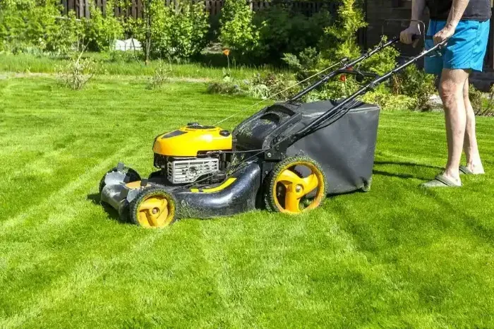 Affordable Lawn Mowing in Pueblo, CO