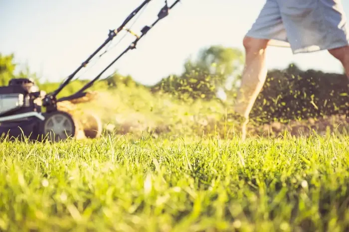 Can you mow wet grass in Pueblo, CO