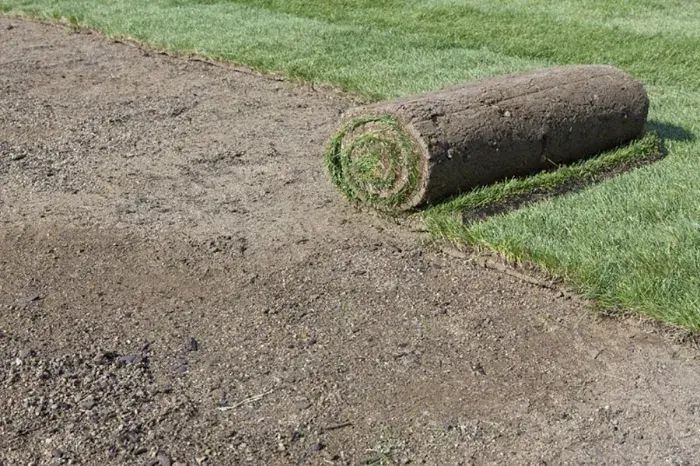 How long after installing sod can you walk on it Pueblo, CO