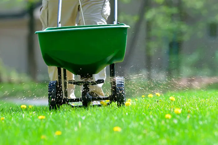 How often should you fertilize your lawn in Pueblo, CO