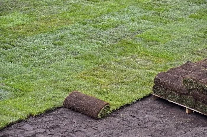 How to lay sod over existing lawn Pueblo, CO