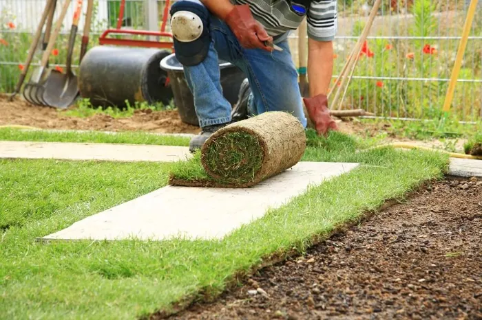 How to lay sod over existing lawn in Pueblo, CO