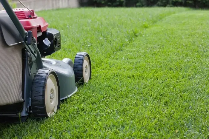 Reliable Lawn Mowing in Pueblo, CO