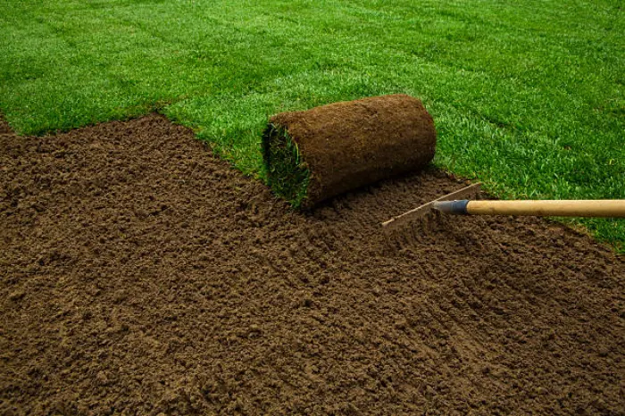 Sod Installation