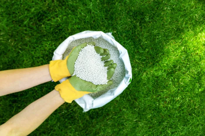 When is the best time to fertilize your lawn Pueblo, CO